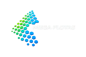Megaflotas